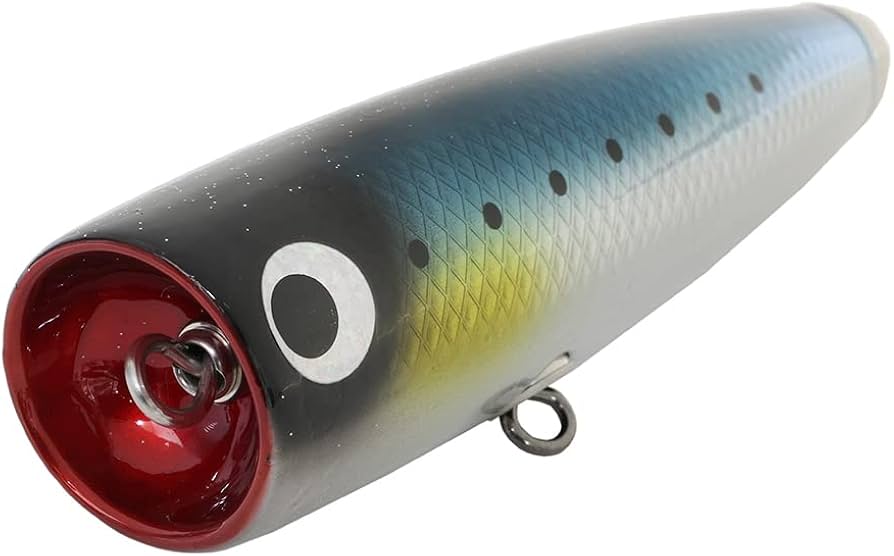 SOULS Souls Dynamite Dondon 150-95g Sardine, Plugs - Amazon Canada
